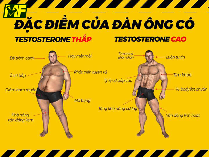 4. Dấu hiệu testosterone cao ở nữ giới