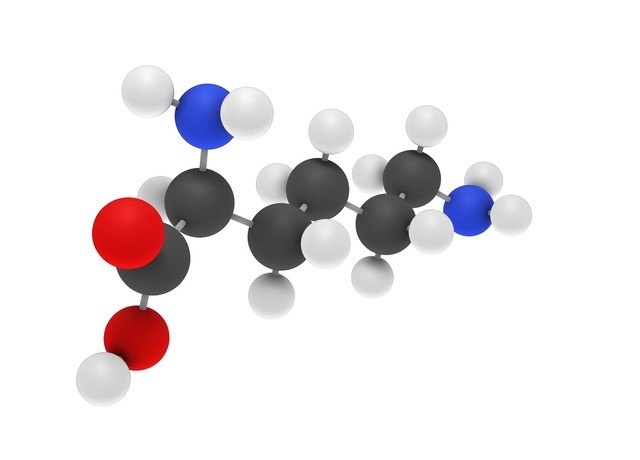 spring valley l-lysine 1000 mg