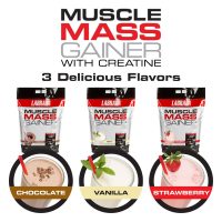 musccle mass gainer