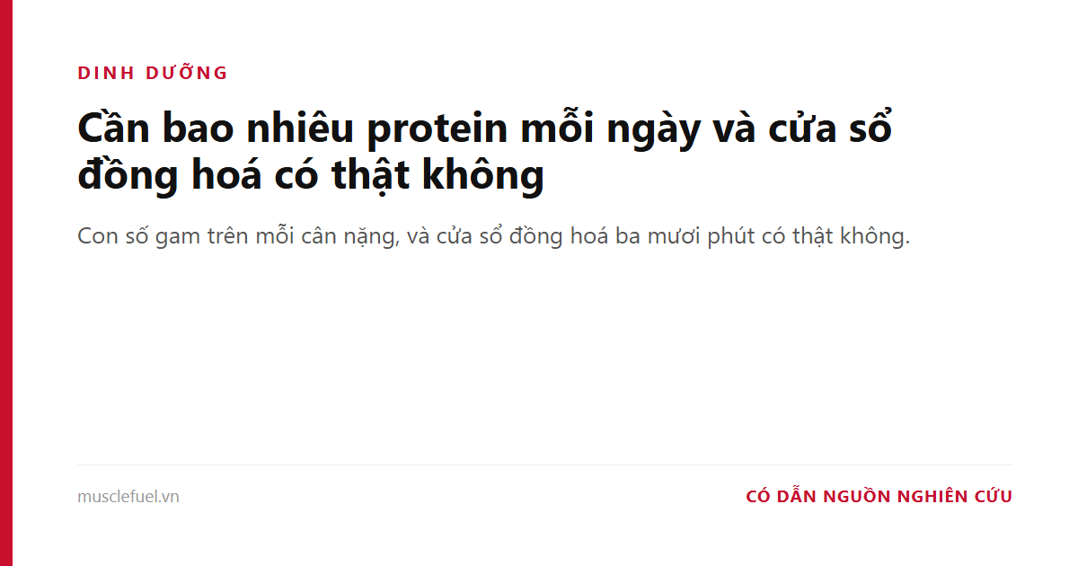 Cần bao nhiêu protein mỗi ngày và cửa sổ đồng hoá có thật không