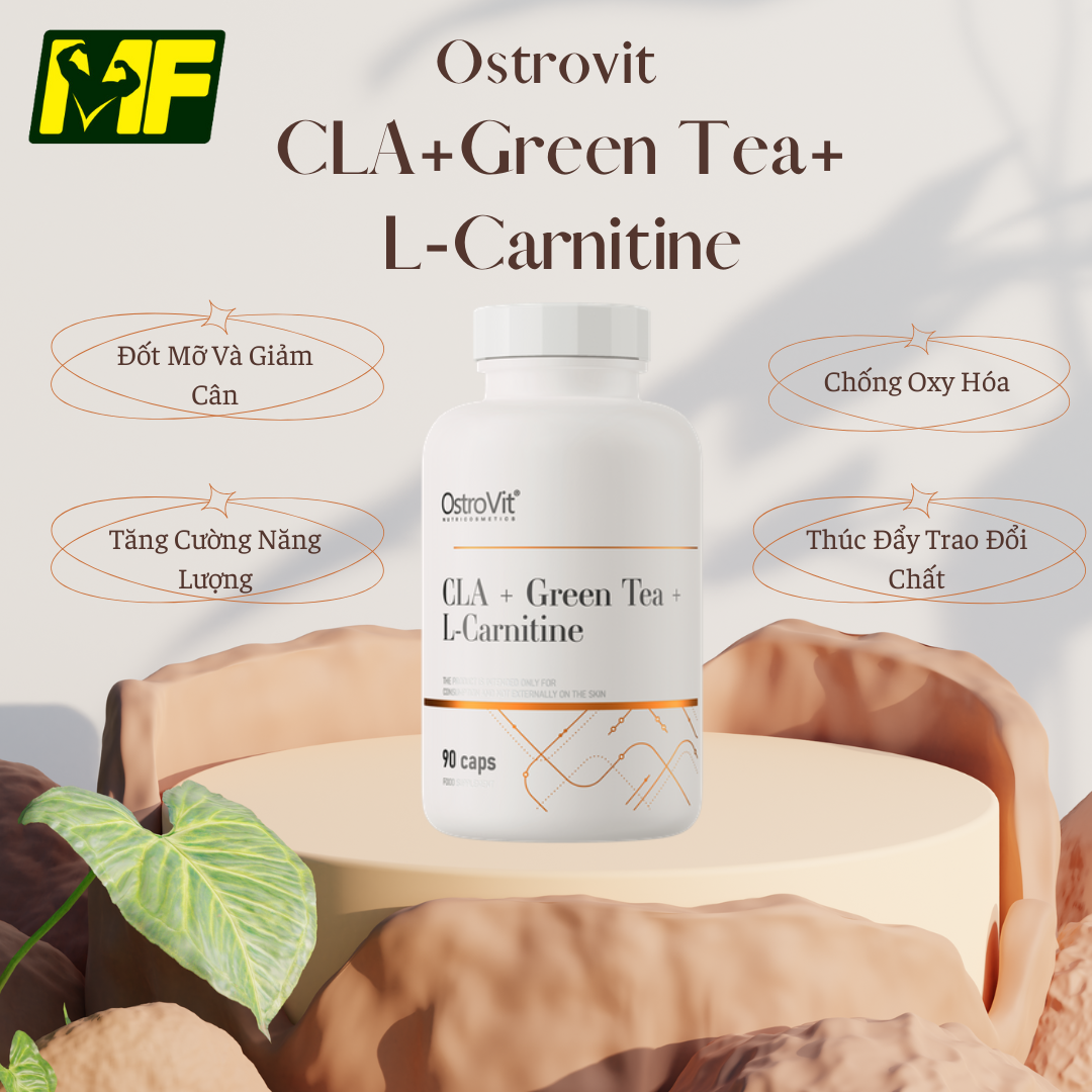 ostrovit cla green tea l carnitine CLA + Green Tea + L-Carnitine main image 0