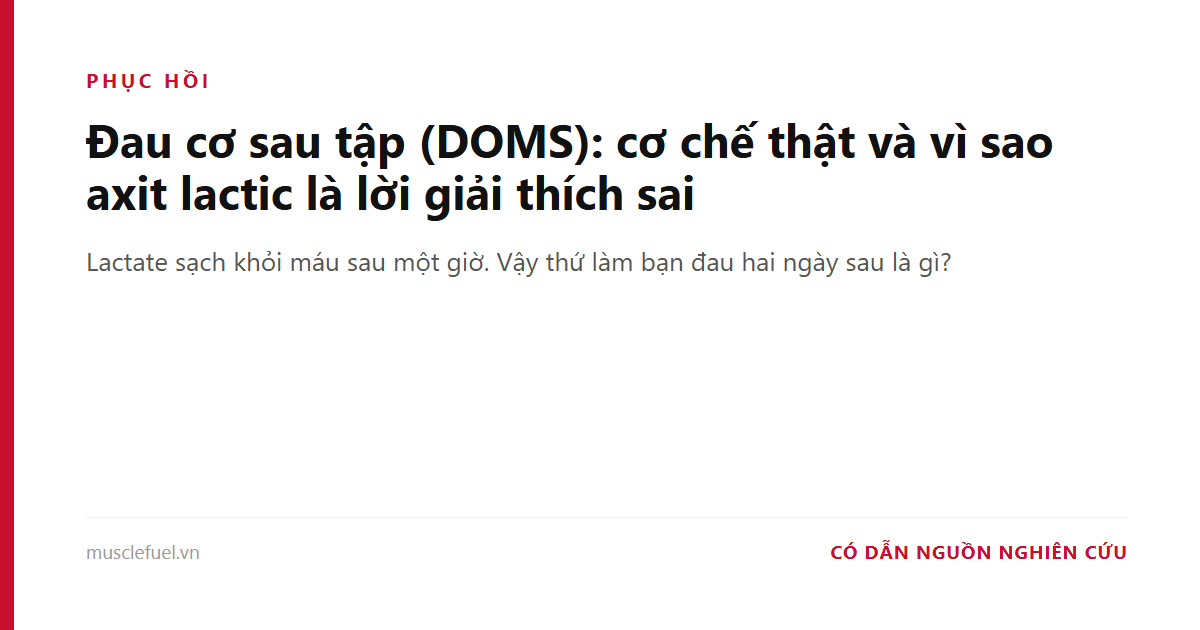 Đau cơ sau tập (DOMS): cơ chế thật và vì sao axit lactic là lời giải thích sai