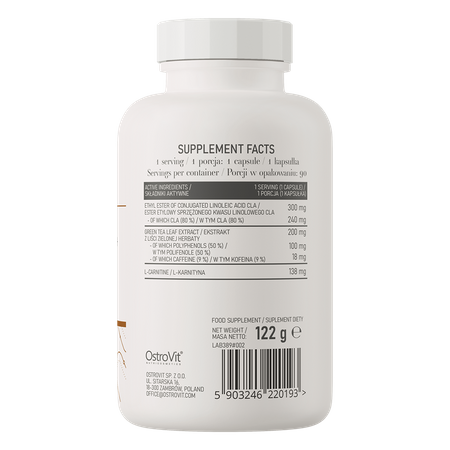 eng_pm_OstroVit-CLA-Green-Tea-L-carnitine-90-capsules-19134_3