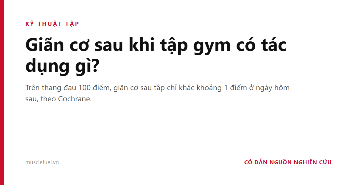 Giãn cơ sau khi tập gym có tác dụng gì?