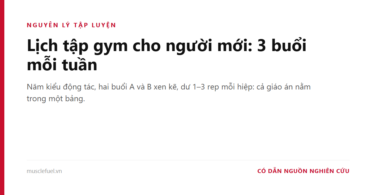 Lịch tập gym cho người mới: 3 buổi mỗi tuần