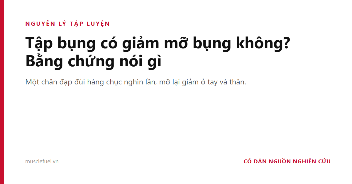 Tập bụng có giảm mỡ bụng không? Bằng chứng nói gì