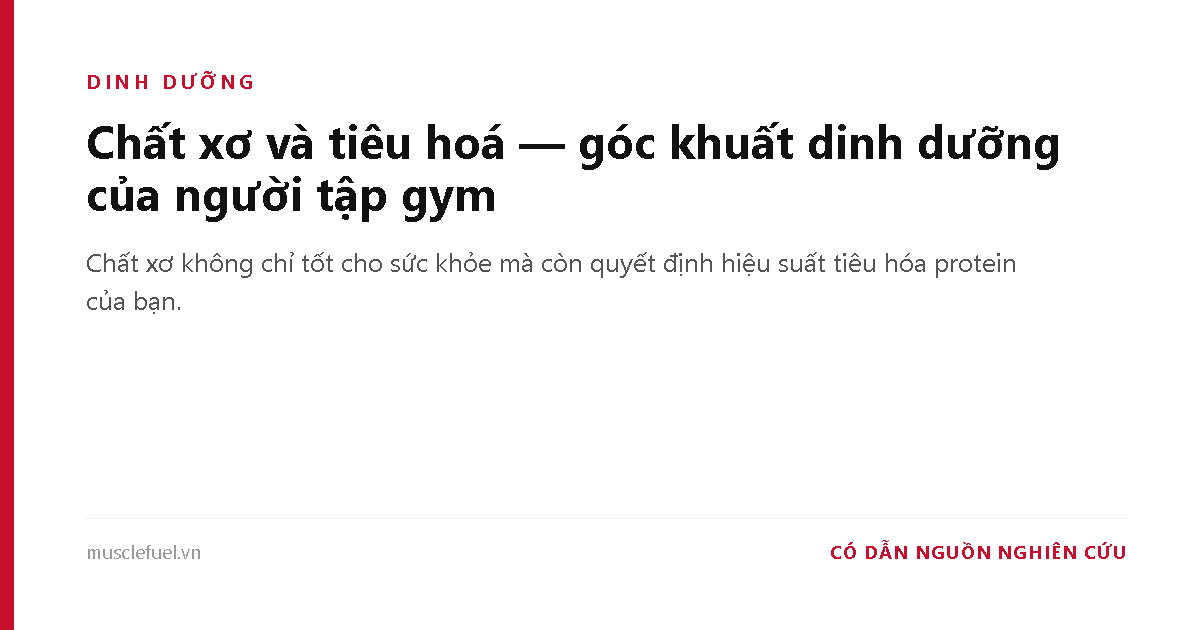 Chất xơ và tiêu hoá — góc khuất dinh dưỡng của người tập gym