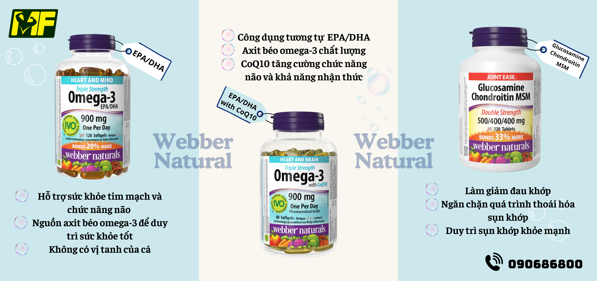 Webber Naturals Glucosamine Chondroitin MSM